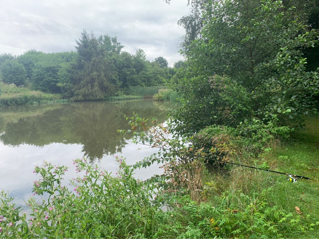Dalborner See angeln