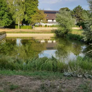 Dorfteich Blösien