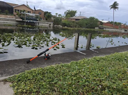 Cape Coral