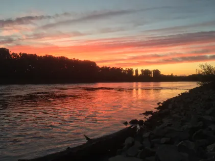 Rhein (Ketsch)