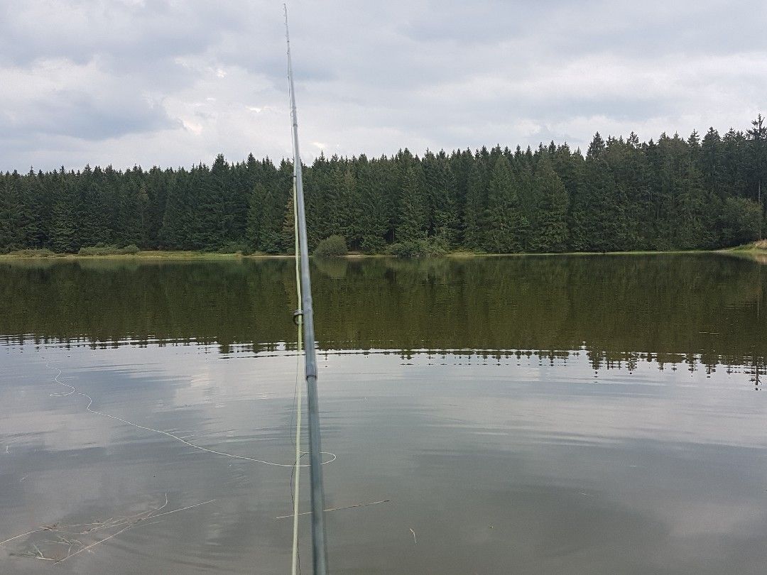 Oberer Nassenwieser Teich angeln
