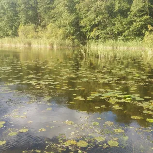 Kleiner Labussee (Wesenberg)