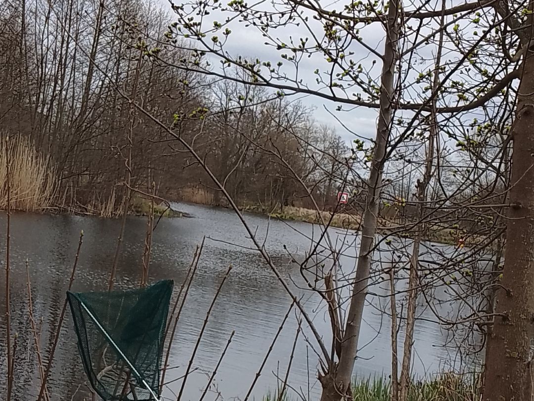 Neuer Werbellinkanal (Marienwerder) angeln