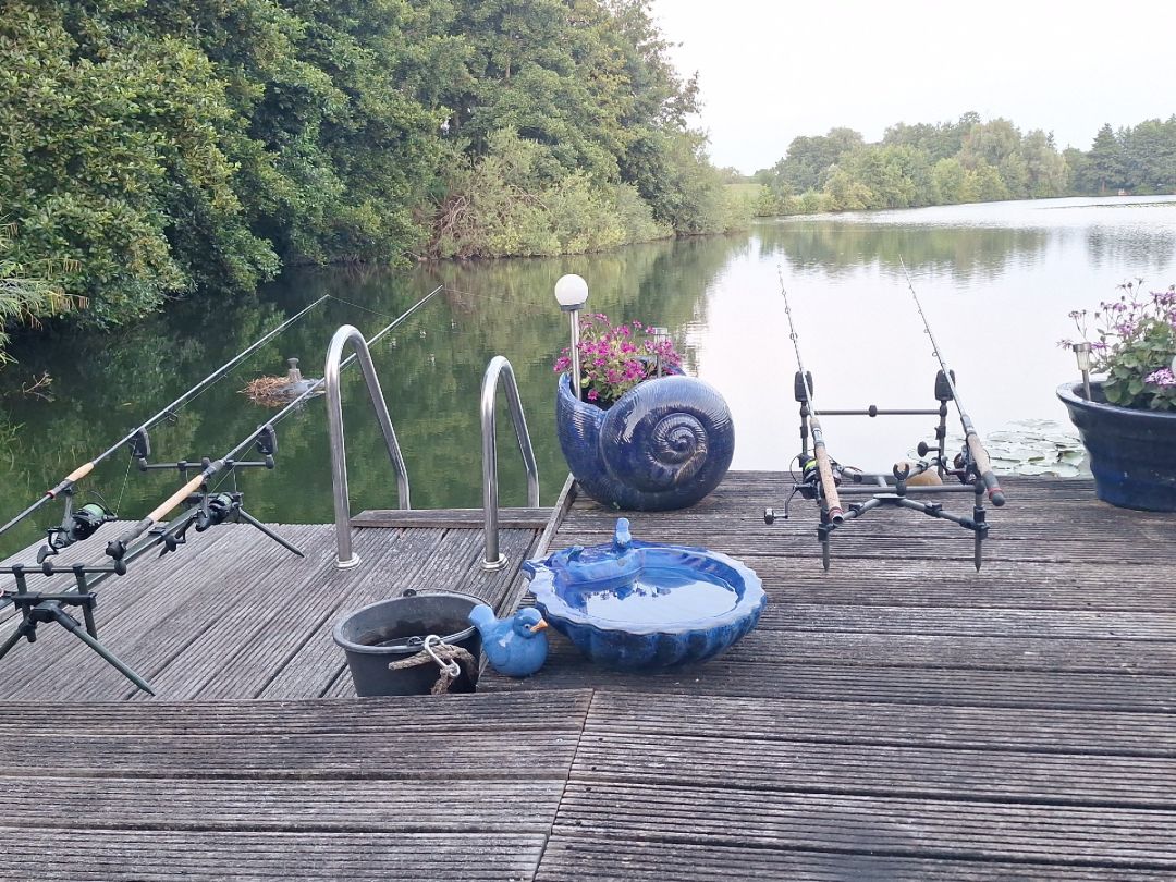 Teich bei Brake (Unterweser) angeln