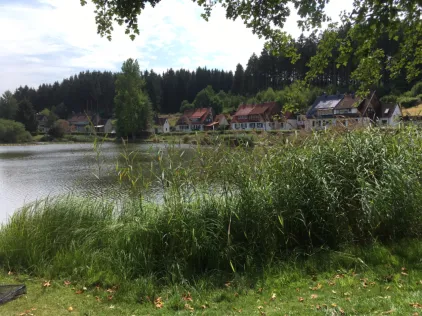 Totemannsteich (Bad Grund)