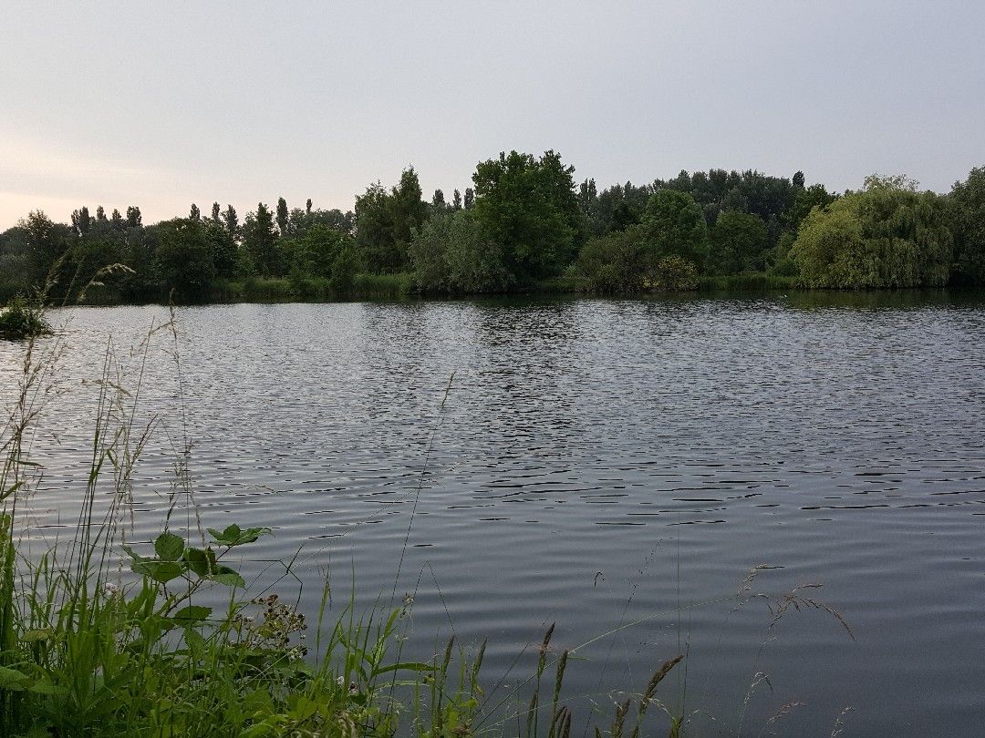 Baggerseen Ziegelstraße (Rindern) angeln