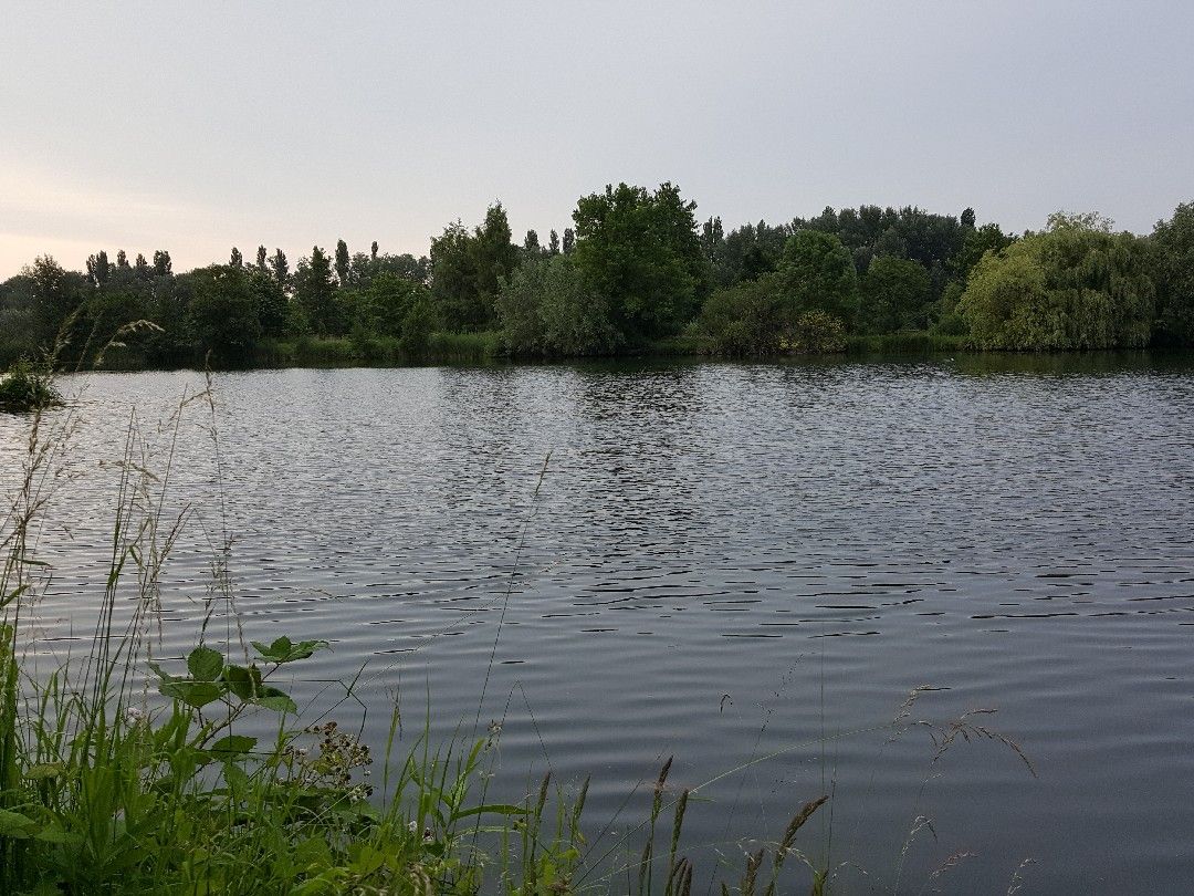 Baggerseen Ziegelstraße (Rindern) angeln