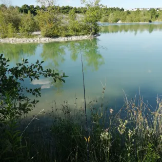 Dyckerhoffsee (Beckum)