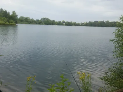 Heinsberger Driesch