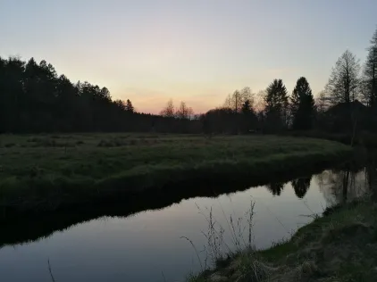 Wietze (Müden)