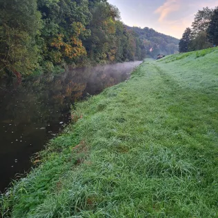 Weiße Elster (Greiz)