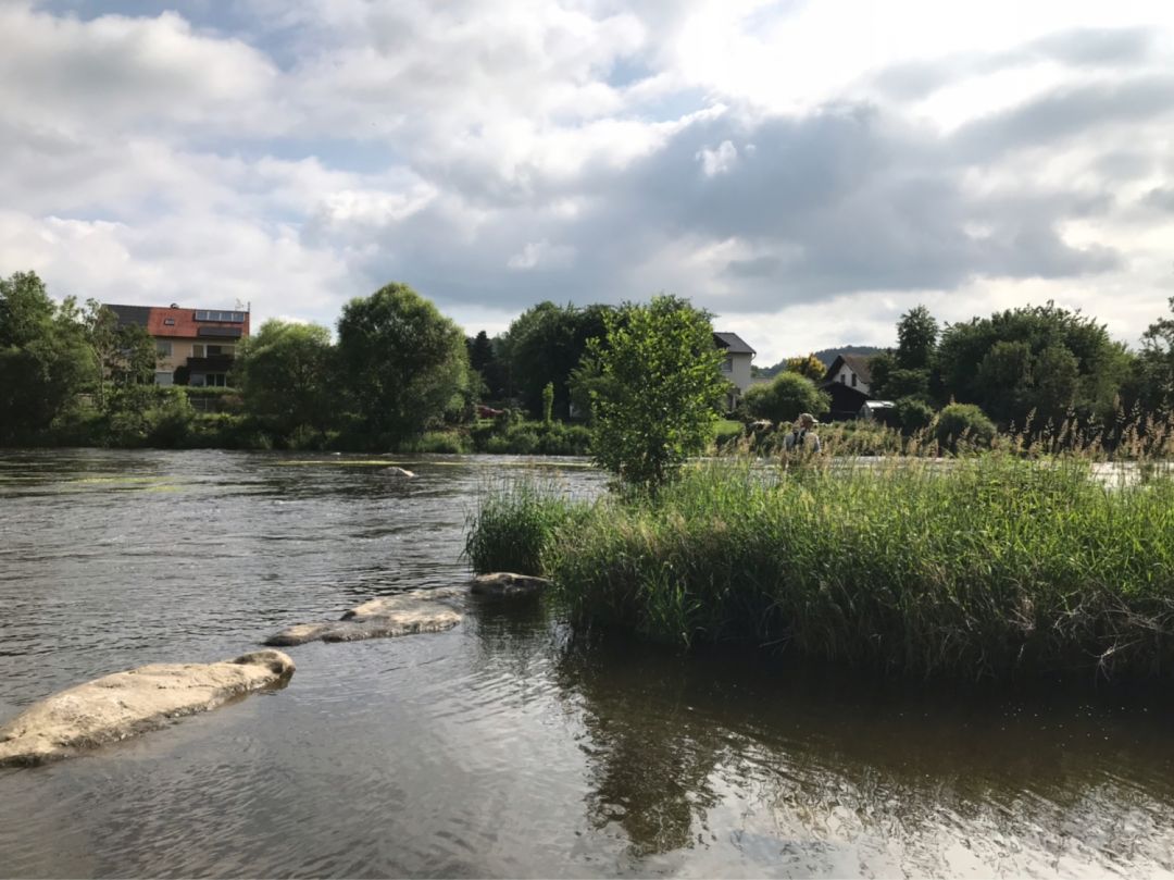 Regen (Blaibach) angeln