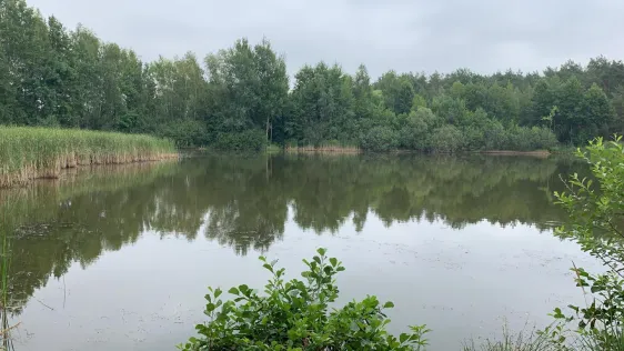 Kiesee Neuendorf