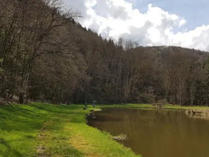 Haanweiher (Wadern)