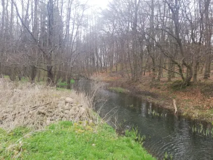 Goldbach (Mühlenhagen)