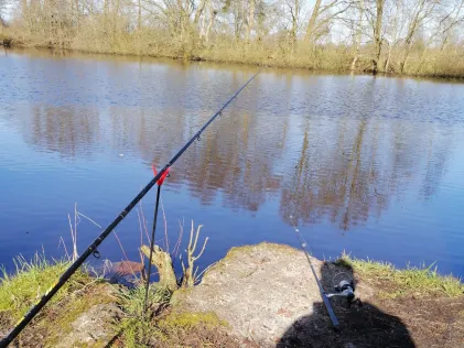 Biotop Sillenstede