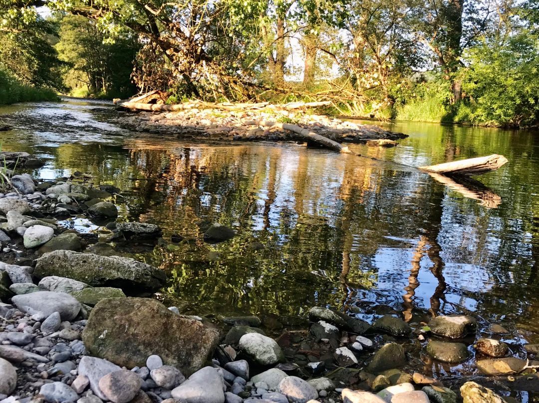 Angeln in Schwallungen