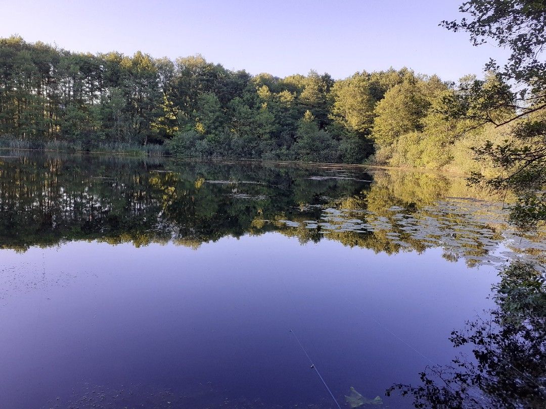 Schwarzer See (Teterow) angeln