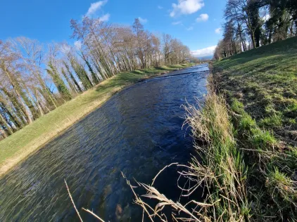 Dreisam (March)