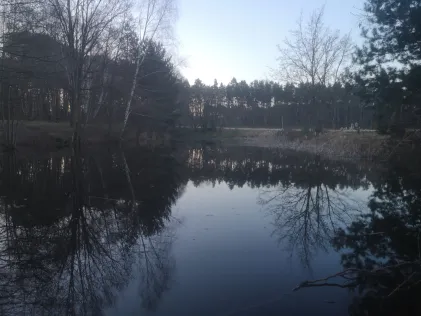 Karauschenteich Groß Krams
