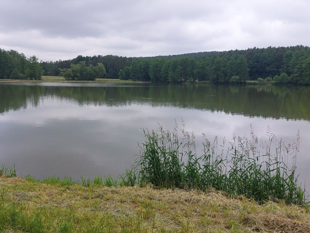 Lanzenweiher angeln