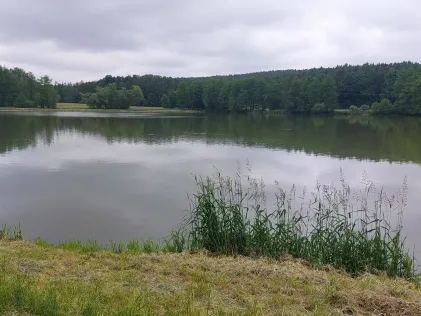 Lanzenweiher