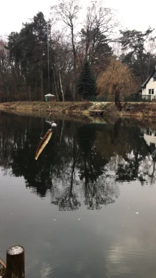 Storkower Kanal (Kummersdorf)