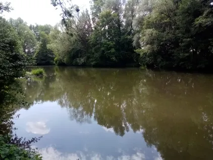 Jagst (Crailsheim)