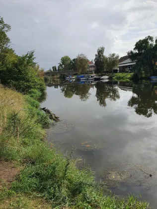 Bode (Nienburg/Saale)