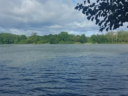 Tiefe Wiese Zwenkau