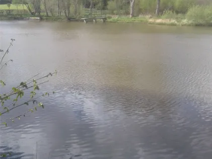 Menzerather Weiher