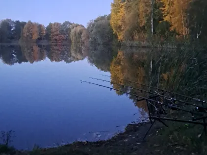 Teich Horst (Wipshausen)