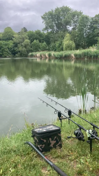 Angelhäuser Teich (Arnstadt)