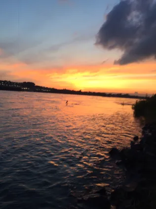 Rhein (Wesseling)