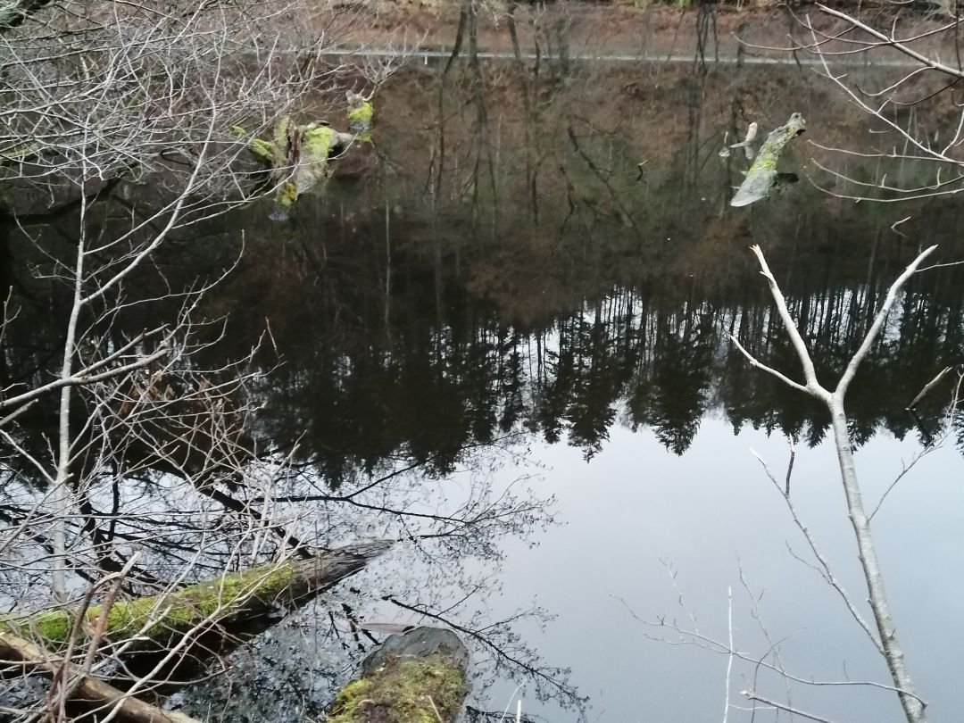 Angeln in Queidersbach