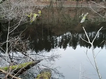 Walzweiher