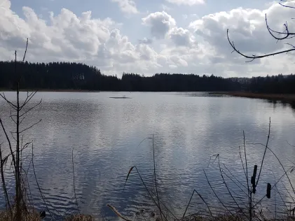 Notzenweiher