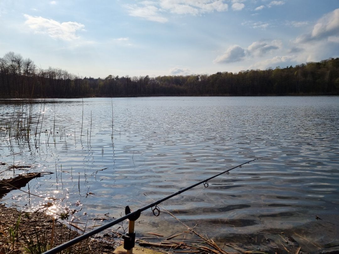 Bogensee (Lanke) angeln