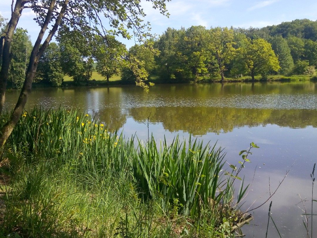 Meerpfuhl (Merzhausen) angeln