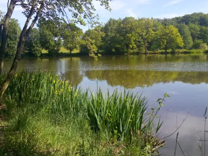 Meerpfuhl (Merzhausen)