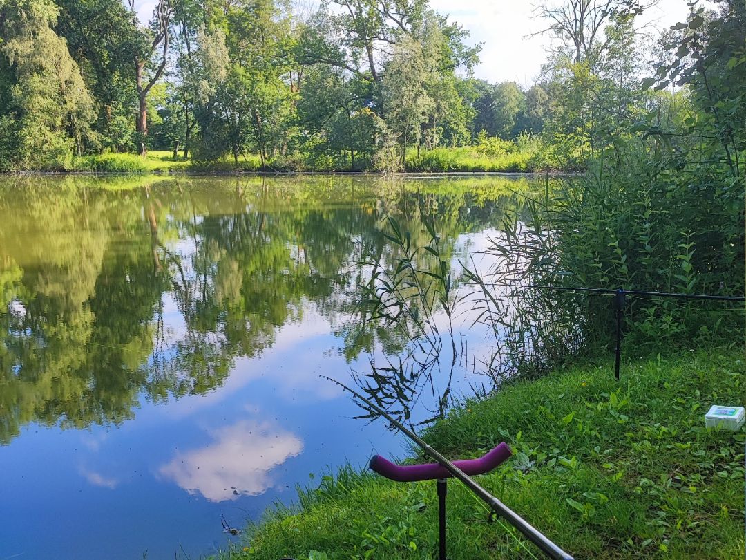 Loher Teich (Glüsingen) angeln