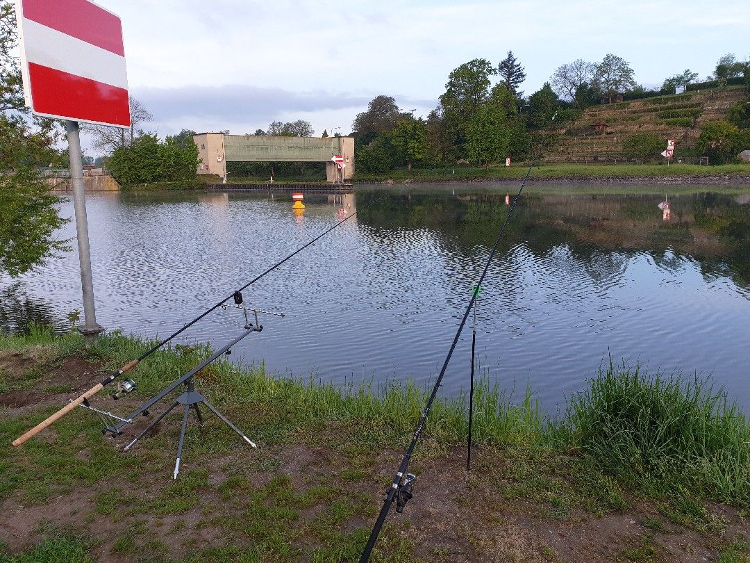 Angeln in Markgröningen