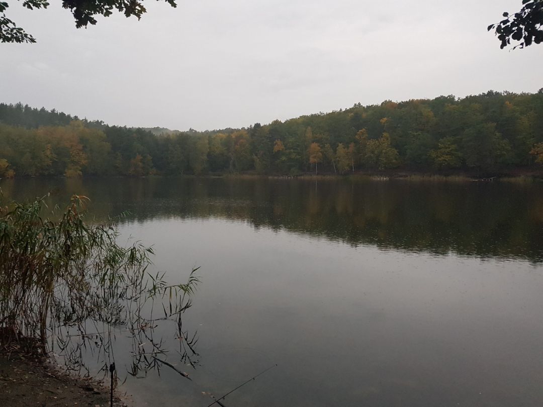 Kleiner Lienewitzsee angeln