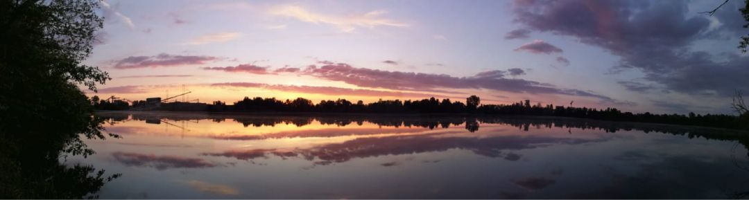 Nördlicher Baggersee Altenheim  angeln