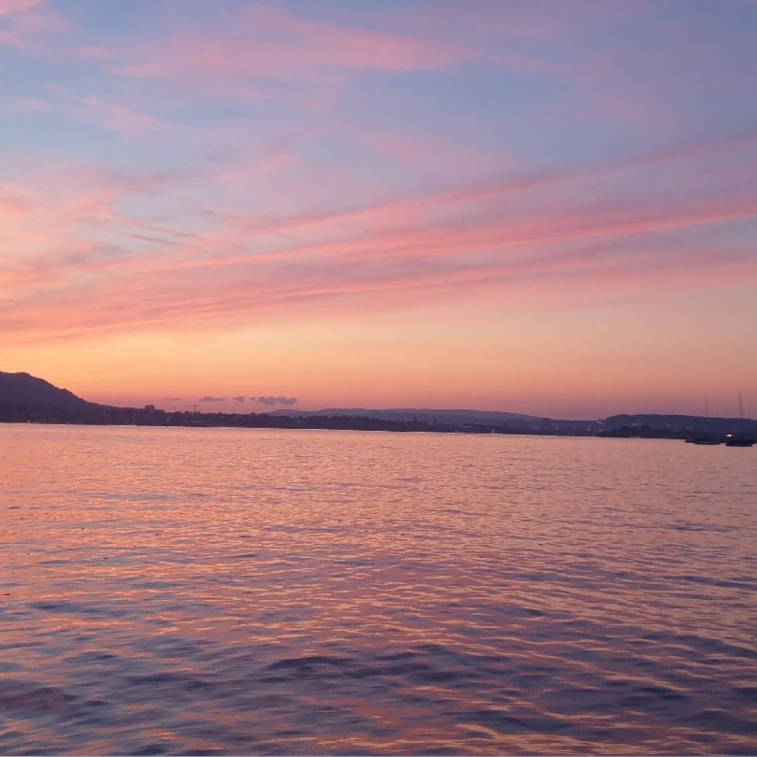 Zürichsee  angeln