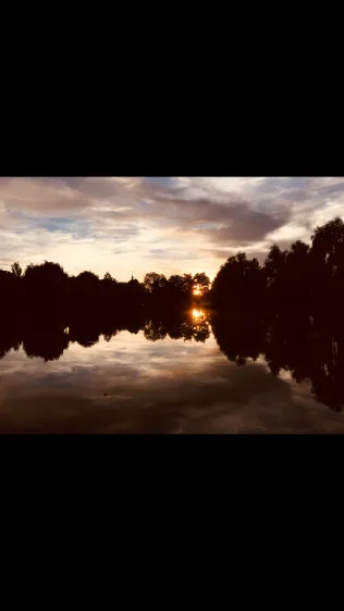 Neuer Weiher (Markt Erlbach)