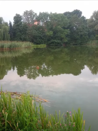 Dorfteich Kletzin