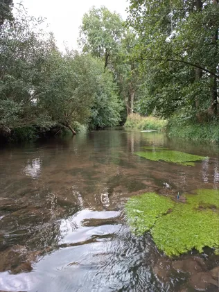 Felda (Urnshausen)