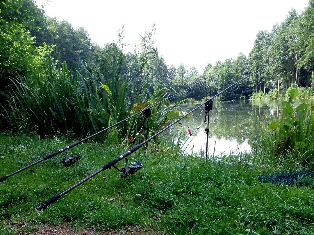 Speicher Schloßig angeln