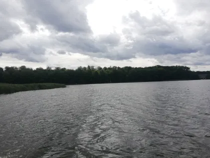 Hofsee (Wesenberg)